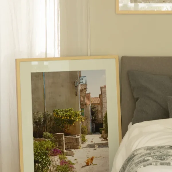 Macke perasta 0 Mačke u Perastu