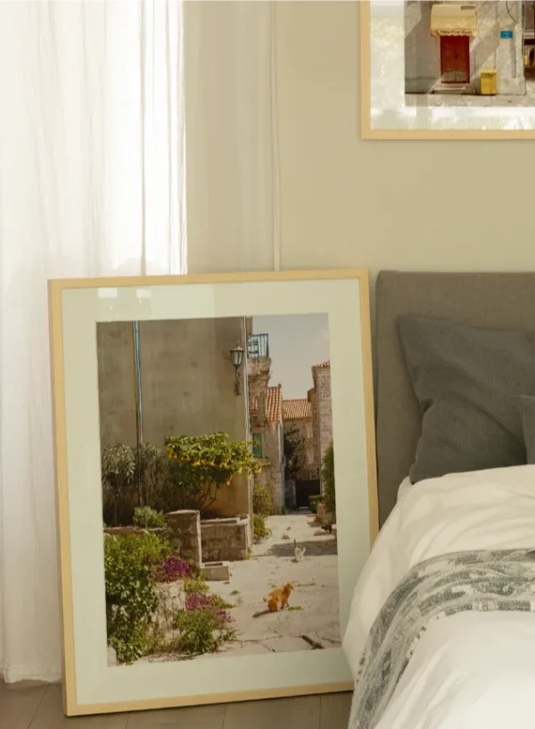 Macke perasta 0 Mačke u Perastu