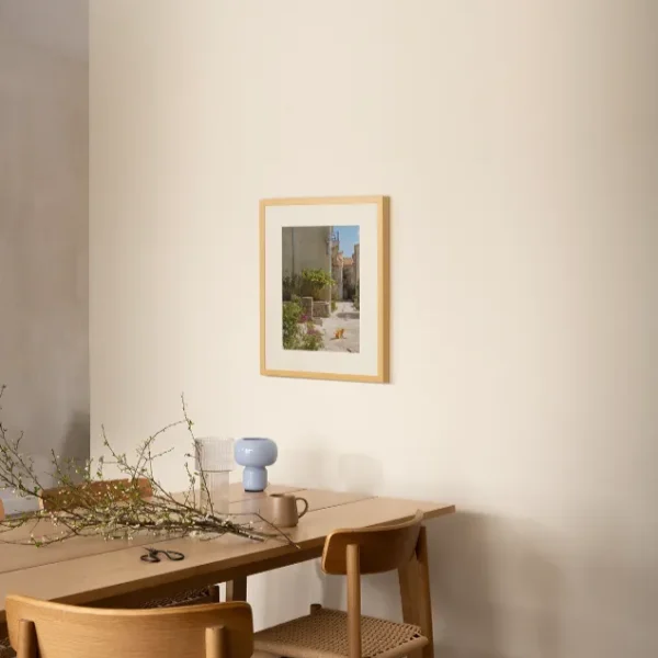 Macke perasta 1 Mačke u Perastu