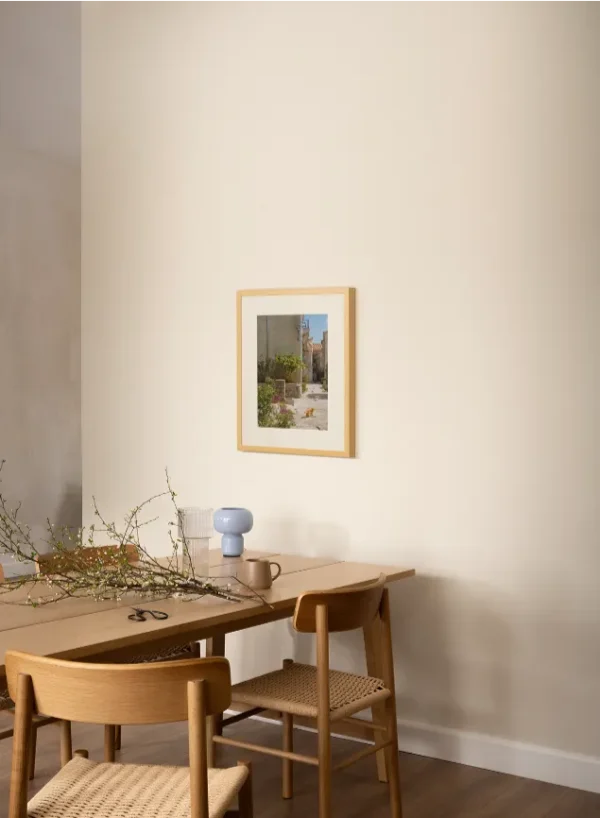 Macke perasta 1 Mačke u Perastu