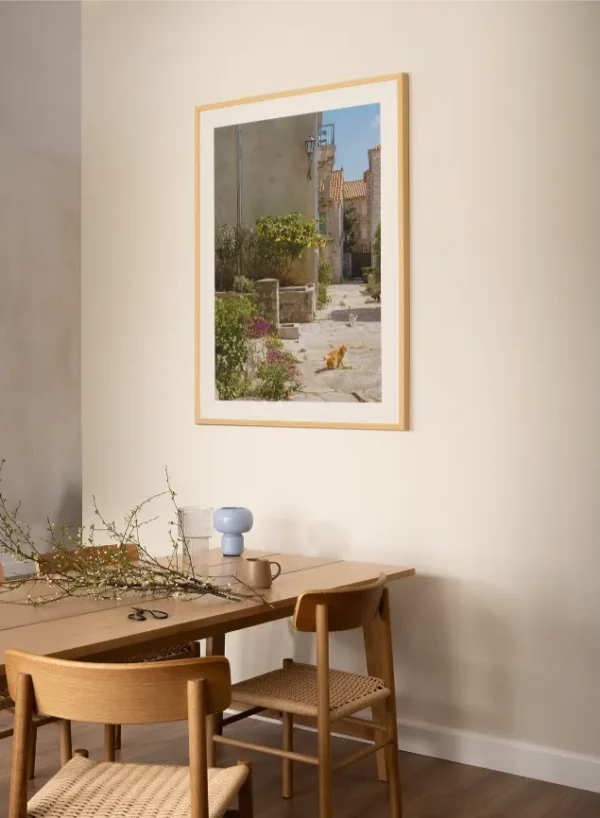 Macke perasta 3 Mačke u Perastu