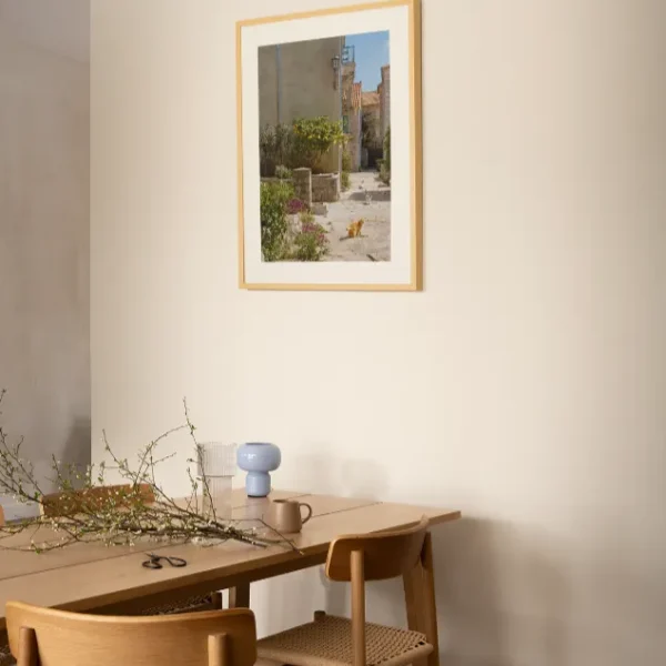 Macke u Perastu 2 Mačke u Perastu