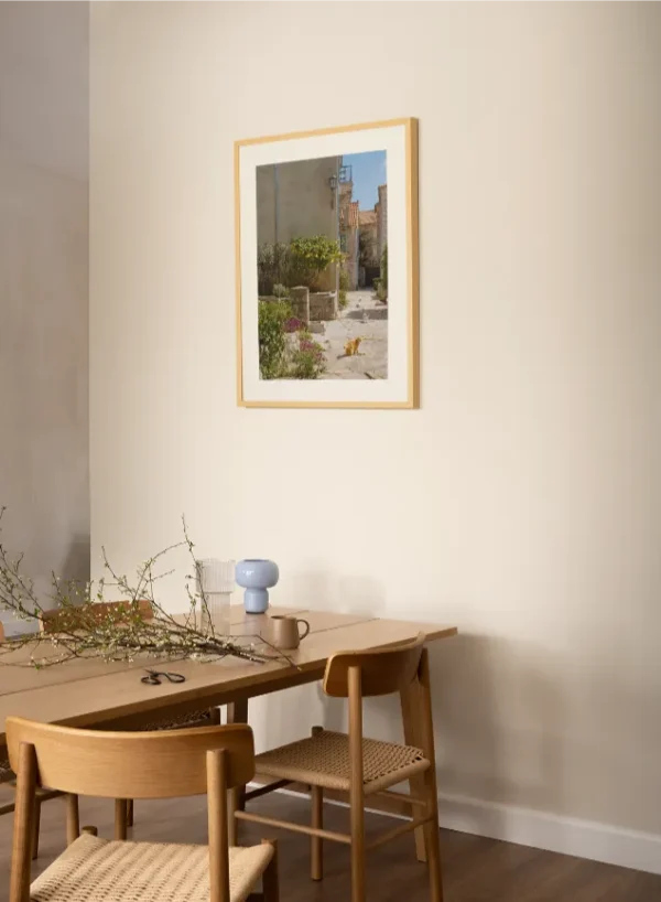 Macke u Perastu 2 Mačke u Perastu