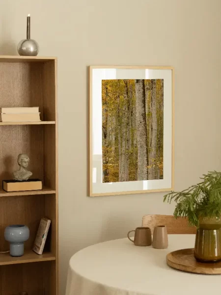 Prikaz kako fotografija Biogradske gore izgleda u trpezariji